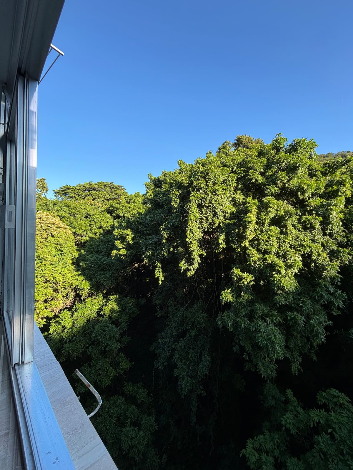 Vista Verde em Copacabana, foto 6 de 7